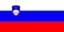Flag of Slovenia
