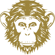 Omneky favicon