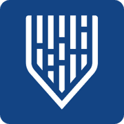 Mindgard favicon