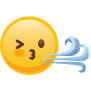 WindyFlo favicon