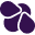 BeetleShield favicon