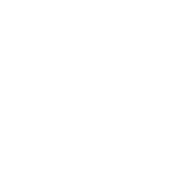 Sturppy favicon