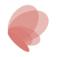 Amara favicon