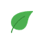AnkiDecks favicon