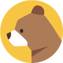 BrainyBear favicon