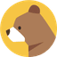 BrainyBear favicon
