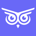 Brandwise favicon