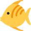 Butterfish favicon