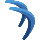 Cyara favicon