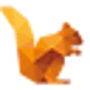 DataSquirrel.ai favicon