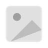 Liner favicon