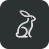 Design of Perception favicon