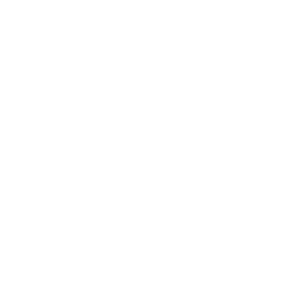 ezML favicon
