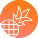 Pineapple Builder favicon