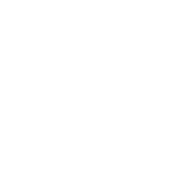 Danti favicon