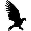 Hawke AI favicon