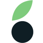 Mailberry favicon