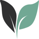 Undetectable AI Humanizer favicon