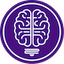 Insight favicon