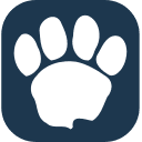LAION favicon