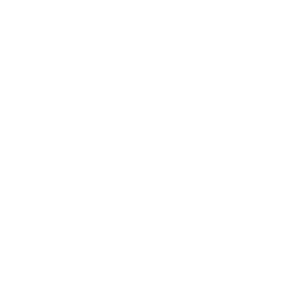 Lightscreen favicon