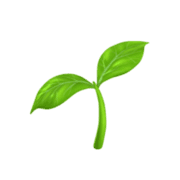 Trazable Lifecycle favicon