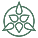 Lycaste AI favicon