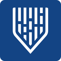 Mindgard favicon