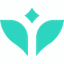 MindLumen favicon