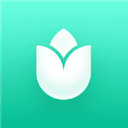 PlantIn favicon