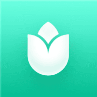 PlantIn favicon