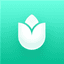 PlantIn favicon