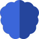 NewsData.io favicon
