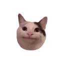 Notescast favicon