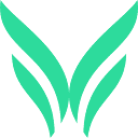 Octavia favicon
