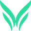 Octavia favicon