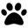 Pet Booth favicon