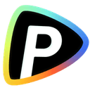 Pollo AI favicon