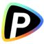 Pollo AI favicon