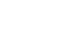 pre.dev favicon