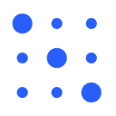 privacera.com favicon