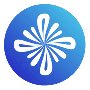 Saleswise favicon