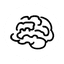 Second Brain Labs favicon