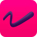 Showzone favicon