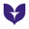 Snackz.ai favicon