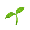 Trazable Lifecycle favicon