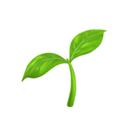 Trazable Lifecycle favicon