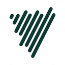 Voicenotes favicon