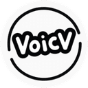Voicv favicon