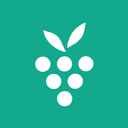 Berrycast favicon